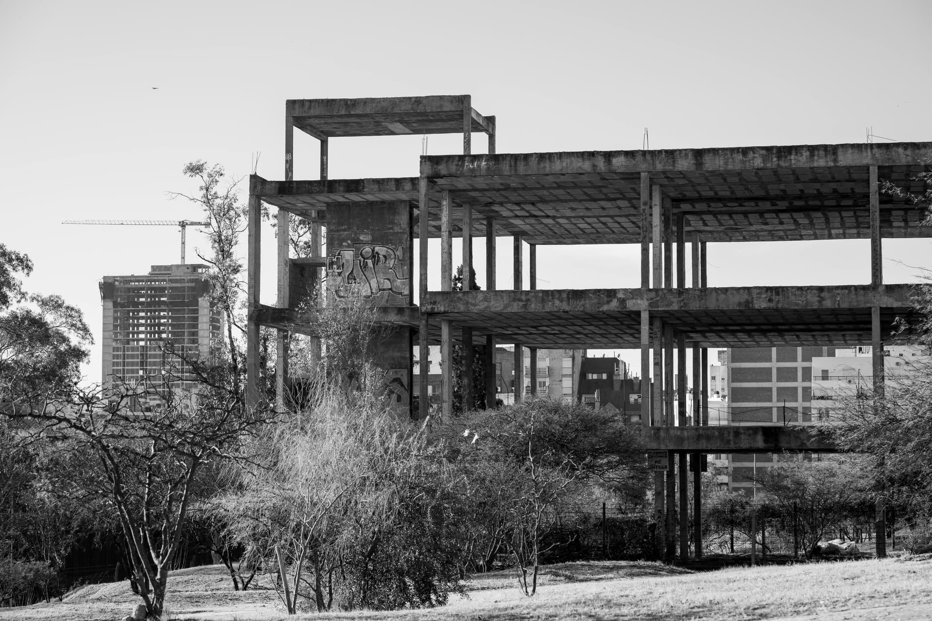 Calculadora de Hierro y Varillas para Construccion Argentina — Losa, Columna y Viga