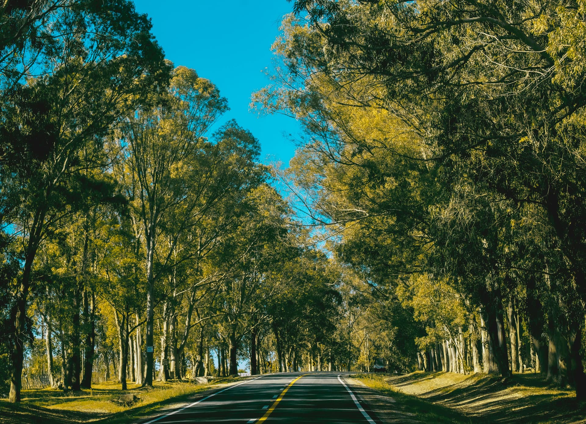 Calculá cuánto cuesta tu viaje a Uruguay desde Argentina | Servidos.ar Calculadora de costo de viaje a Uruguay en auto – nafta ANCAP, ferry Buquebus y peajes SUCIVE 2026