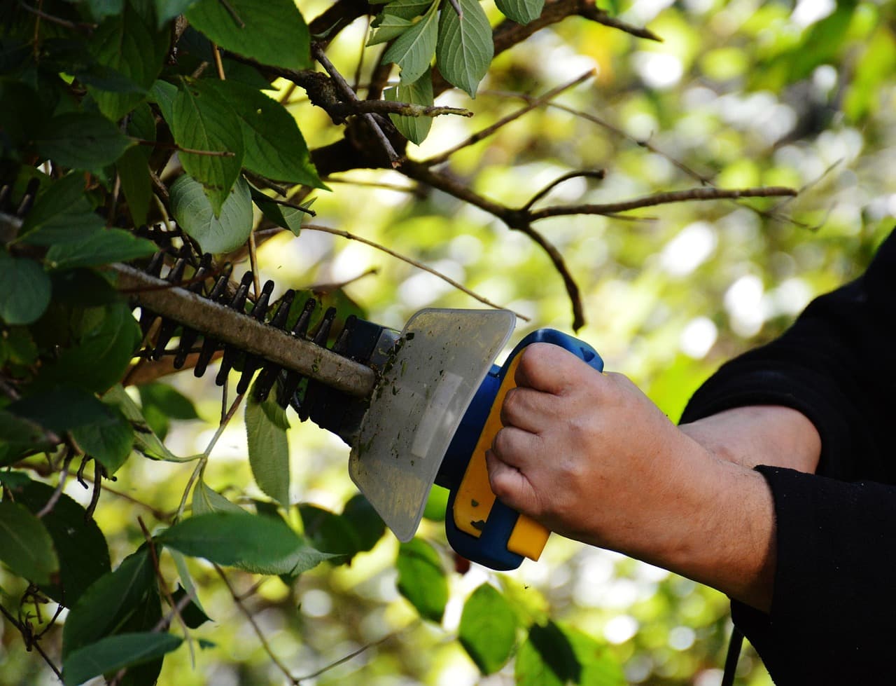 Trabajos de jardinería en Buenos Aires - jardinero podando plantas en jardín