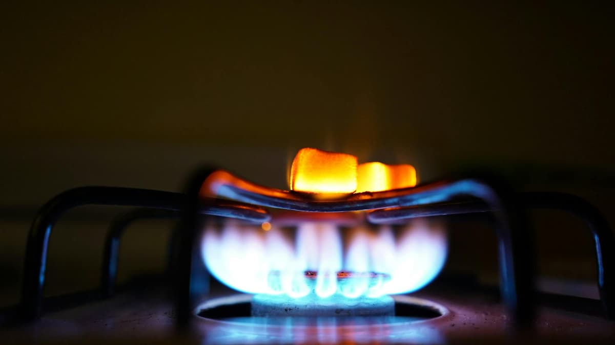 Verificador de matrícula de gasista matriculado en Argentina — consulta gratuita del padrón oficial de Naturgy, MetroGAS y Camuzzi